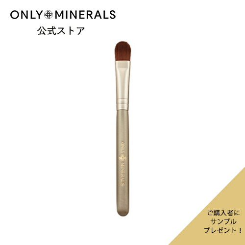 楽天市場】【P10倍☆12/4 20:00から12/11 1:59まで】ブラシ【ヤーマン