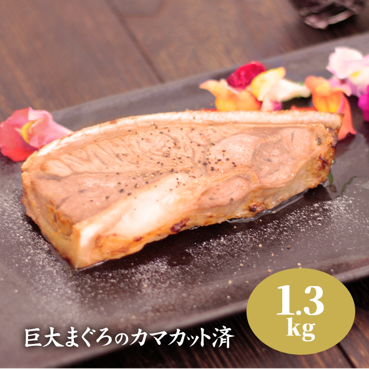 巨大マグロ カマ カット済み まぐろ 鮪 約1 3kg かま プレーン まぐろステーキ 送料無料 まるでお肉 おうちで豪華なお食事いかかでしょうか 金婚式御祝 お宮参り御祝 Volleybalcluboegstgeest Nl