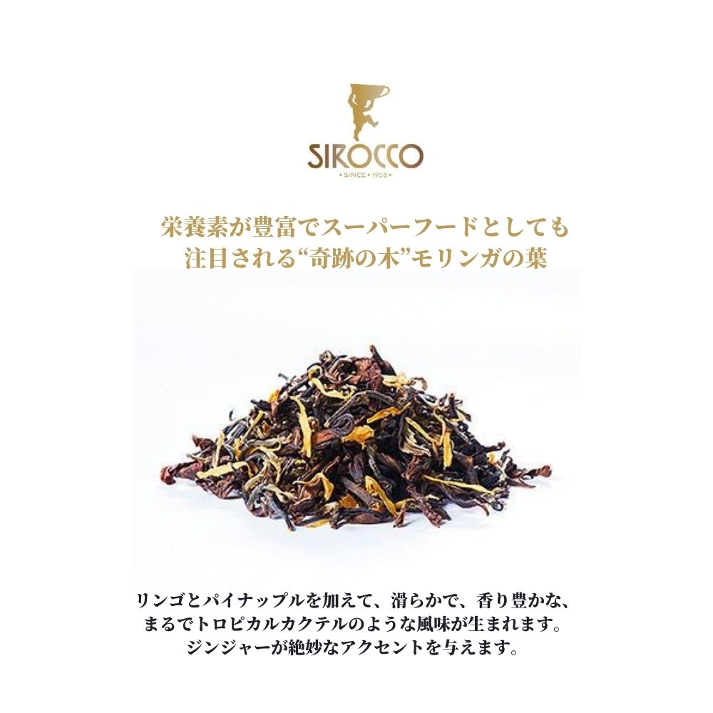 砂嵐 Sirocco ピニャ モリンガ 草茶 フルーツティー 個冒頭 おつ ティー鞄 ティーサッシェ 超凡 オーガニック Bio認証 有機 アップル ジンジャー パイナップル アップルミント ピニャモリンガ スーパーストアボンネット シロッコティー 法出荷代理者店 Nobhillmusic Com