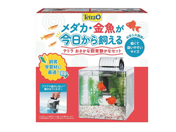 トラトラさん専用4点セット 楽天市場】【エントリー＆購入でP5倍☆7/19 20時〜7/25】テトラ