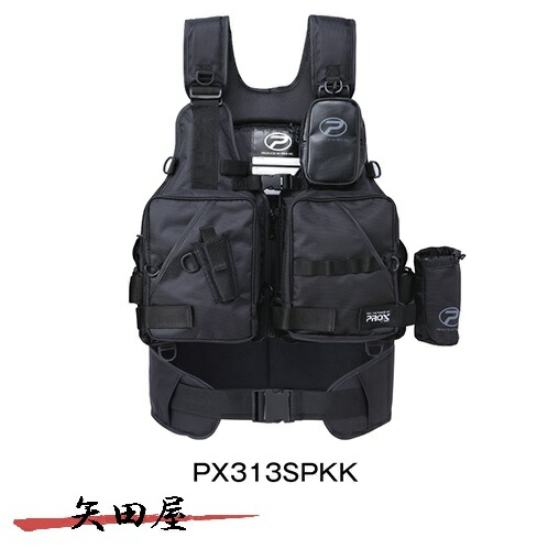 px313.jpg