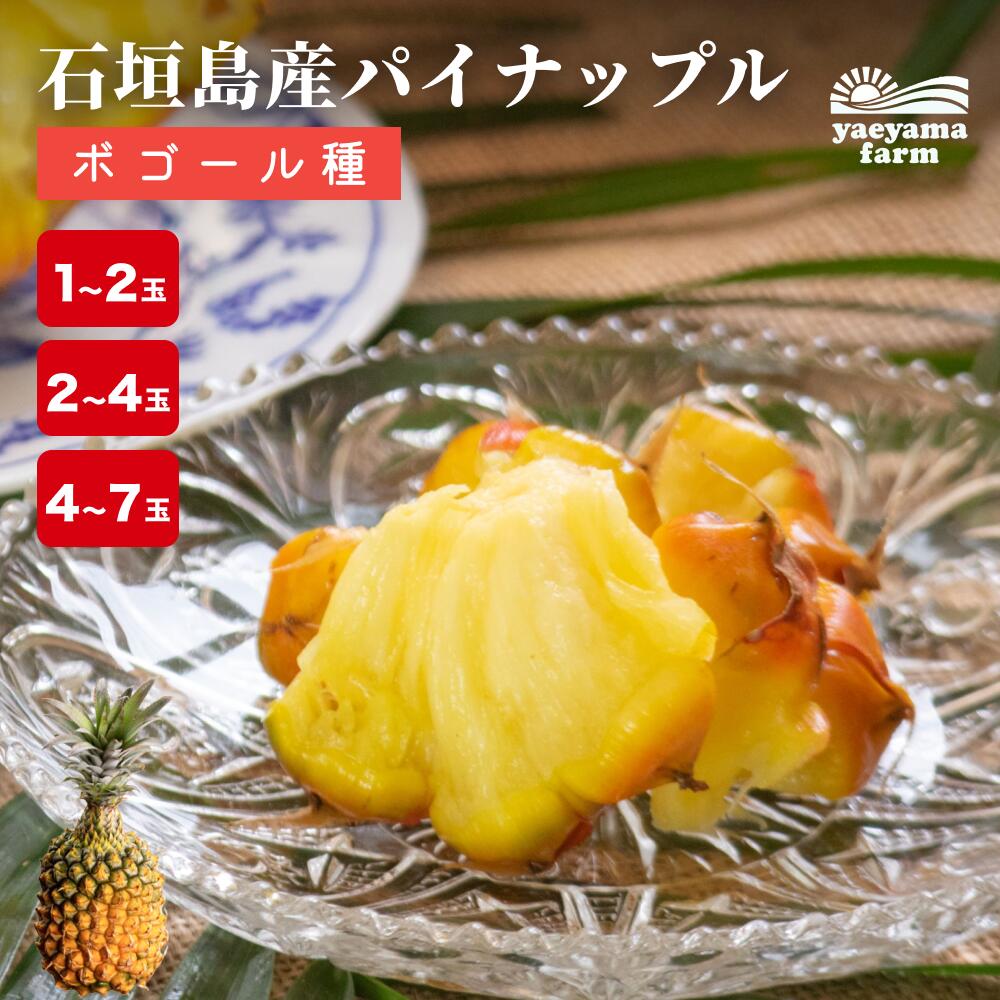 ランキング1位 石垣島産 パイナップル ボゴール種 約1kg 約2.8kg 約5.6kg 国産 沖縄 島パイン パイン 安心 安全 子供 おやつ デザート フルーツ ギフト 贈答 お土産 送料無料 6冠達成 美味しい 甘い ブランド 希少 ビタミン