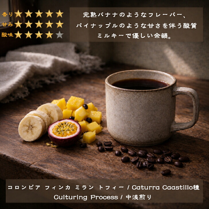 フルーティ コーヒー豆 【 コロンビア トフィー カルチャリング 中 浅煎り 】 250g 500g 1kg 1キロ 送料無料 アナエロビック スペシャリティコーヒー豆 スペシャルティ 美味しい 豆 アイスコーヒー エスプレッソ 浅煎りコーヒー豆 スペシャルティコーヒー豆 高級 新鮮 珈琲｜八木商店　coffee store