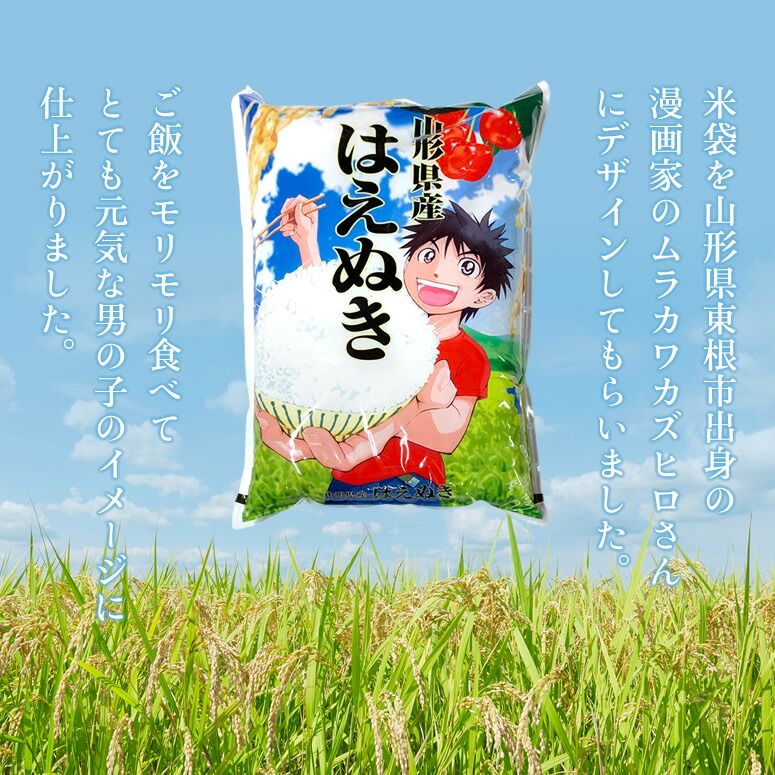 令和２年産！ 山形県産【はえぬき】白米４０ｋｇ中粒米の+spbgp44.ru