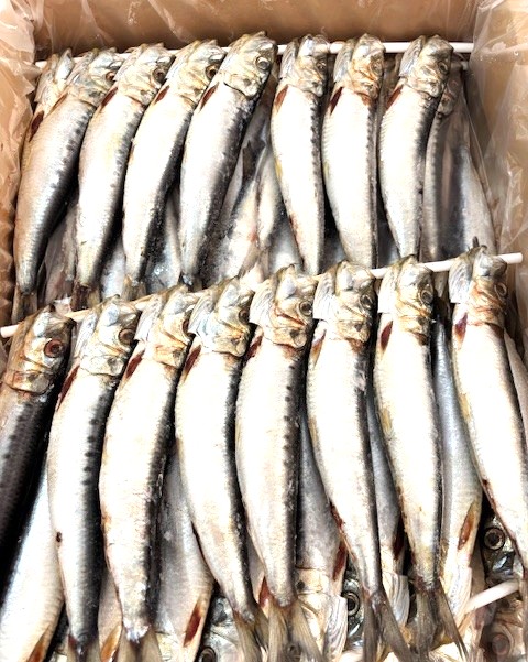 ごっちんさん専用、丸干し3キロ 楽天市場】米水津 黄金いわし 丸干し 1串×3袋セット 干物屋