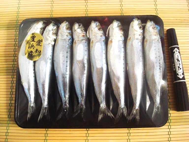 いわし 楽天市場】【朝市場直行】冷凍イワシ 金太郎いわし丸干し 千葉県
