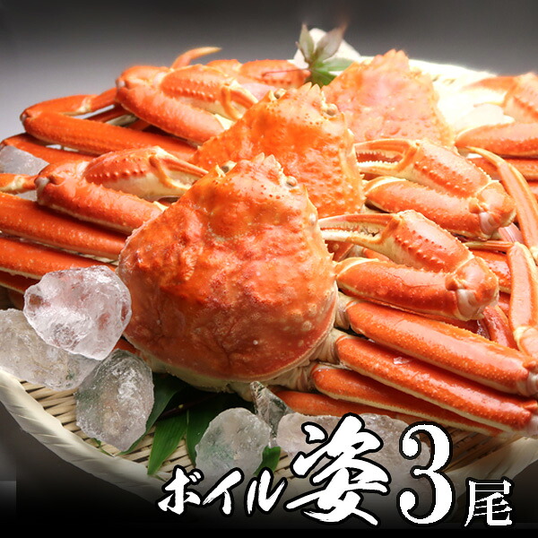 極上ズワイガニ姿（ボイル）600g×3尾 【送料無料】カナダ産 極上品 北海道・沖縄へは700円加算 かにみそたっぷり！お花見 グルメ 食品 ギフト 合格祝い 卒業 入学 内祝 お返し お取り寄せ 海鮮