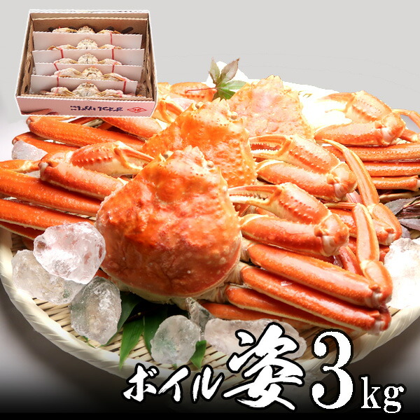 極上ズワイガニ姿（ボイル） 3kg（600g×5尾） カナダ産 極上品 かにみそたっぷり！【送料無料】お花見 グルメ 食品 ギフト 合格祝い 卒業 入学 内祝 お返し お取り寄せ 海鮮