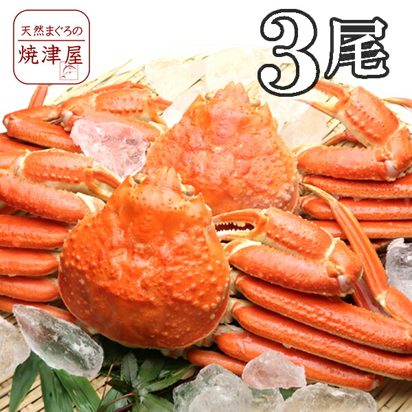 【楽天市場】極上ズワイガニ姿(ボイル) 600g×2尾 【送料無料