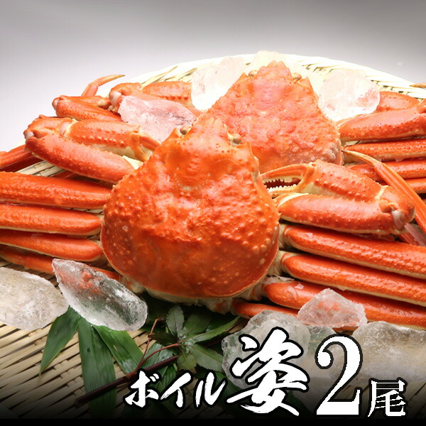 楽天市場】カニ爪(ボイル 本 ズワイガニ)殻付き 3L 1kg(26 楽天市場】カニ爪(ボイル 本 ズワイガニ)殻付き 3L 1kg(26