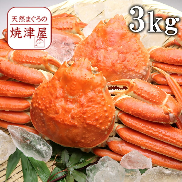 再入荷】 ズワイガニ姿 ボイル 3kg 600g×5尾 カナダ産 極上品 かにみそたっぷり入っています 北海道 沖縄へは700円加算 fucoa.cl