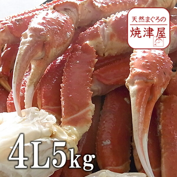 しみいただ】 ボイルズワイガニ（ずわいがに足）3Lサイズ 5kg 北海道、沖縄へは、700円加算：天然まぐろの焼津屋 けできる -  shineray.com.br