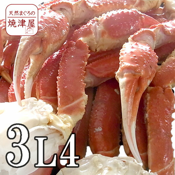 楽天市場】極上ズワイガニ姿(ボイル) 600g×2尾 【送料無料】カナダ産