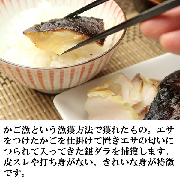 銀灰色鱈 銀ダラ 西京漬け 90g 10破片 送料無料 北海道 沖縄へは700循環寄算 お中元 音物 食べ物 海鮮 エピキュリアン お握り お取り寄せ 御神酒の肴 引出で物 Geo2 Co Uk