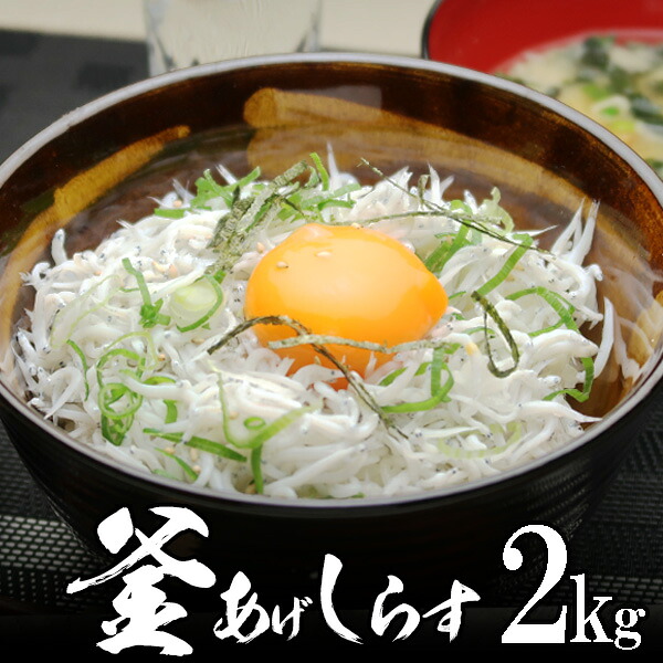 釜揚げしらす 2kg 無添加 無漂白 業務用【送料無料】水揚げ当日ゆでたてを発送！ 静岡遠州灘産 北海道、沖縄へは700円加算 配達日の指定不可 漁の状況により、数週間～1ヶ月ほどお待たせすることがあるかもしれません。｜天然まぐろの焼津屋