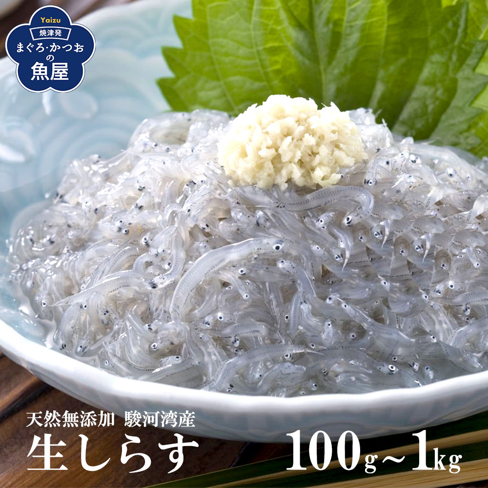 静岡 駿河湾産 生しらす 100g～1kg おつまみ 海鮮珍味 しらす丼 海鮮丼 無添加 新鮮 鮮度抜群 天然無添加 鮮度抜群 生しらす丼 海鮮丼