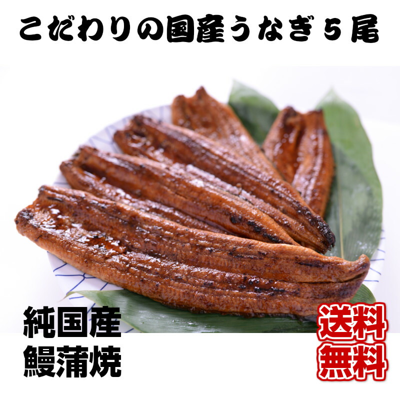【送料無料】 特大うなぎ蒲焼 200g×5尾 たっぷり1kg【ギフト用包装いたします。】ウナギ 鰻 蒲焼き うなぎ 贈り物 ギフト プレゼント グルメ 父の日 お中元 お歳暮 土用丑の日 暑中見舞い 残暑見舞い 敬老の日ギフト