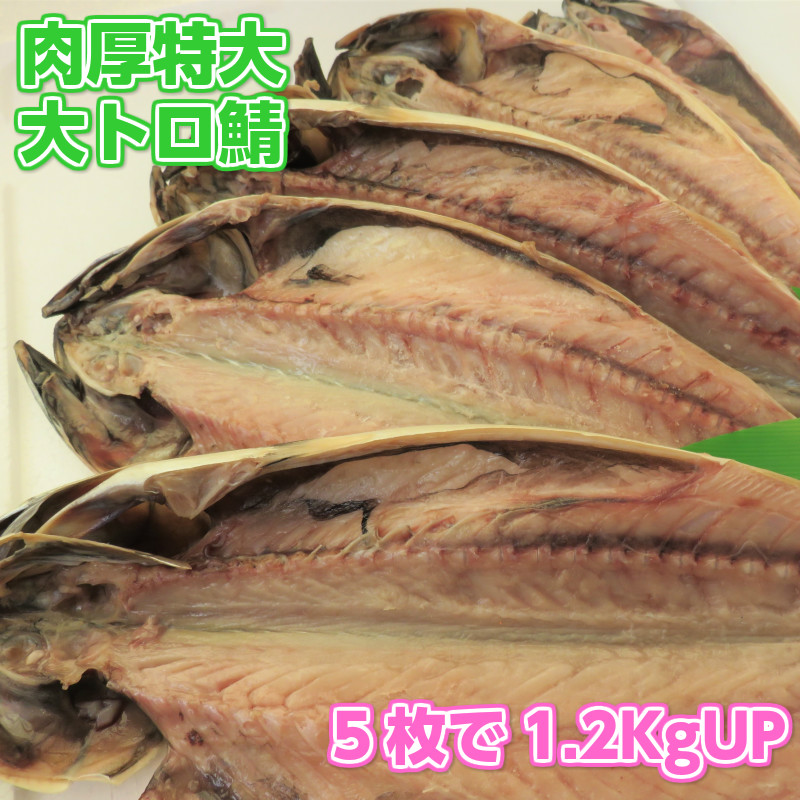 特大肉厚大トロ鯖5枚 天然無添加自然食品 さば一夜干し 美味しいとろサバ さけのさかな 酒の肴 美味しい干物 ご飯のお供 鯖 BBQ用 ギフト用包装いたします  絶品鯖 5％OFF