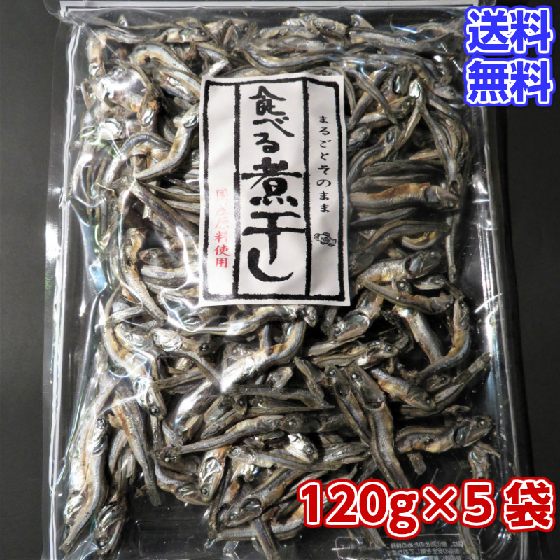 楽天市場 国産天然 無添加食品の食べる煮干し 1g 5袋 送料無料 大人のつまみ 酒の肴 酒のあて カルシュームたっぷり おやつ代わり 海産物問屋焼津日宏