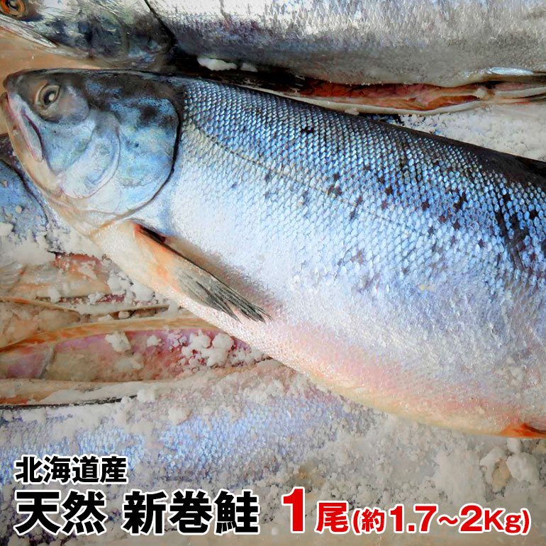 北海道産 天然物新巻鮭(秋鮭)一本物(約1.7Kg〜2Kg) 化粧箱入 お歳暮 お中元 贈り物 お祝 お正月につきもの 北海道の味 絶品の新巻き鮭