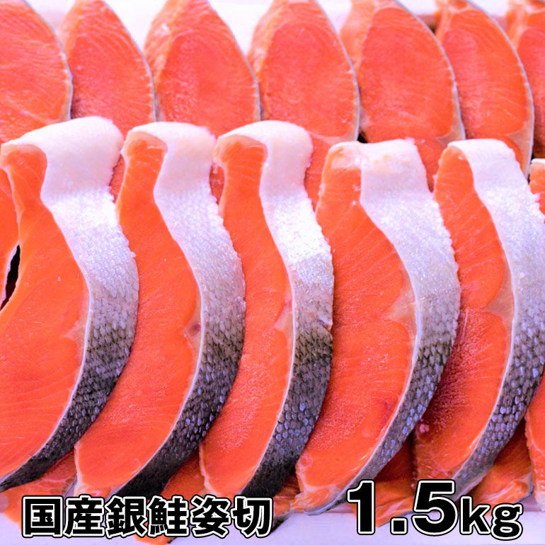 送料無料 ギフトに  極上国産銀鮭姿切1.5kg以上　宮城県産 【鮭 銀鮭 サーモン 銀鮭切り身 鮭姿切り 塩焼き ご飯のお供 お弁当 酒のつまみ 切り身 国産 美味しい 絶品】敬老の日　お歳暮ギフトに 暑中見舞い 残暑見舞い ギフト鮭