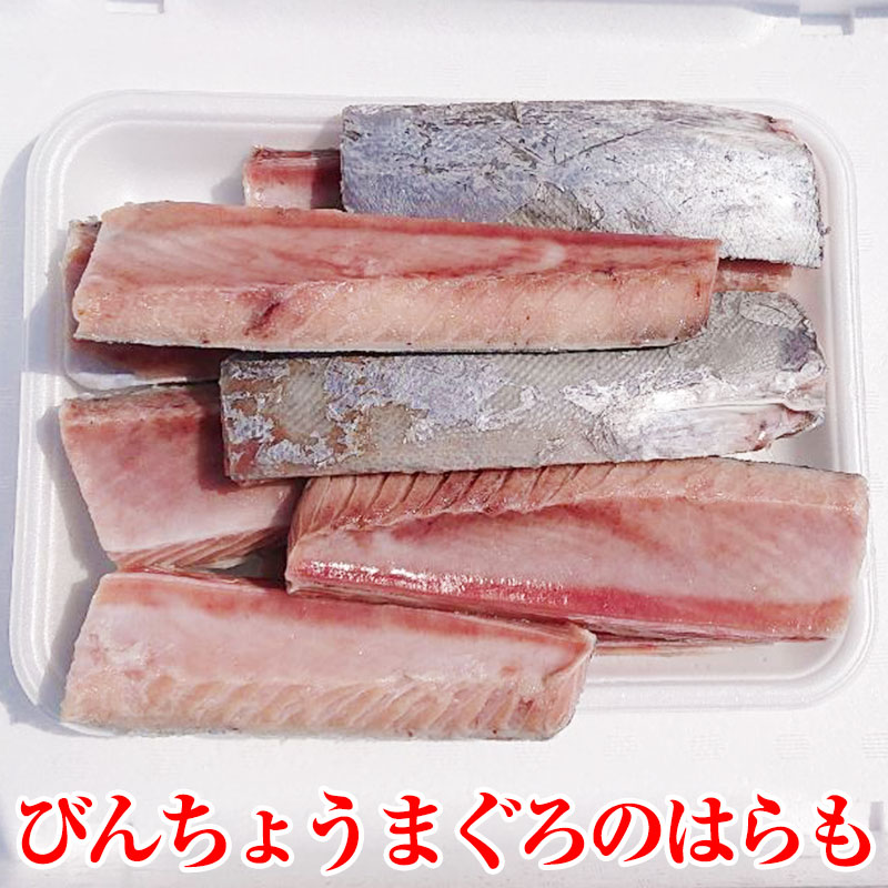 楽天市場 送料無料 まぐろのはらも マグロのハラモ 1kgup びんちょうまぐろ とろびんちょう びんとろ ビントロ びんなが ビンナガ 絶品はらもの塩焼き qの主役 鮪のはらみ 海産物問屋焼津日宏