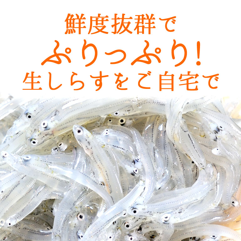 駿河湾産生しらす200g天然無添加鮮度抜群美味しい生シラスおつまみ生しらす丼酒のさかな