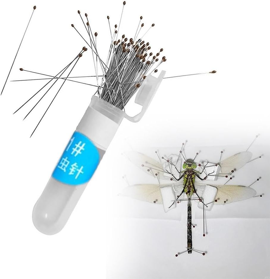 楽天市場】昆虫針 無頭 00号 太さ0.3mm 長さ40mm ステンレス 100本組