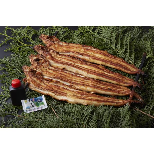 楽天市場 送料込み やきあなご 2l標準 お試しセット 3 4尾 たれ わさび付 焼き穴子 焼きアナゴ 父の日 お中元 お歳暮 御年賀 ギフト お取り寄せグルメ 母の日お薦め人気 冠婚葬祭 やきあなご魚卯 週間ランキング１位に選ばれました お歳暮