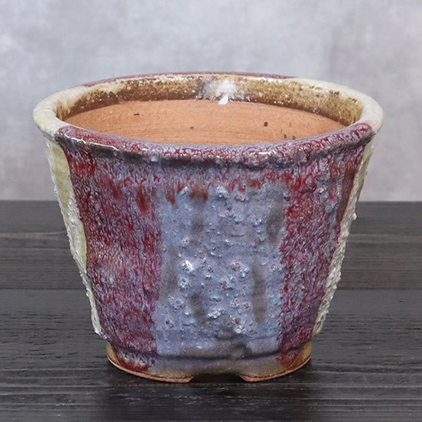 山草鉢 手作りの陶器植木鉢 山野草鉢 信楽焼 山草 鉢 しがらき 陶器鉢 植木 やきもの 信楽焼鉢 手づくり 多肉植物 塊根植物 sa-0340
