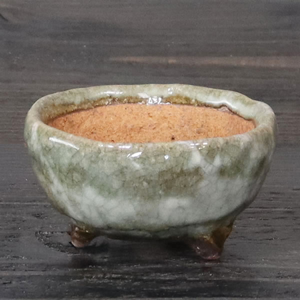 山草鉢 手作りの陶器植木鉢 山野草鉢 信楽焼 山草 鉢 しがらき 陶器鉢 植木 やきもの 信楽焼鉢 手づくり 多肉植物 塊根植物 sa-0353