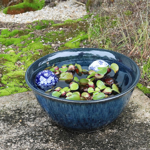 楽天市場】【ブラックフライデー限定15%OFFクーポン配布中】16号水鉢