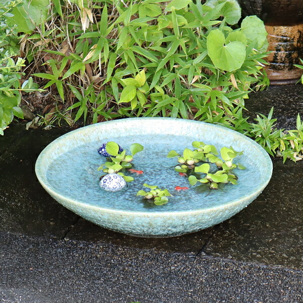 楽天市場】19号黒肌変形水鉢 信楽焼すいれん鉢 メダカ鉢