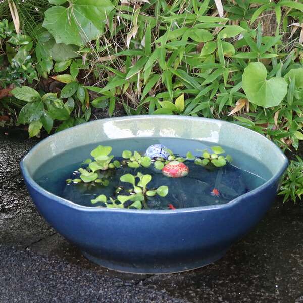 楽天市場】睡蓮鉢 大型 メダカ鉢 金魚鉢 陶器 メダカ ビオトープ