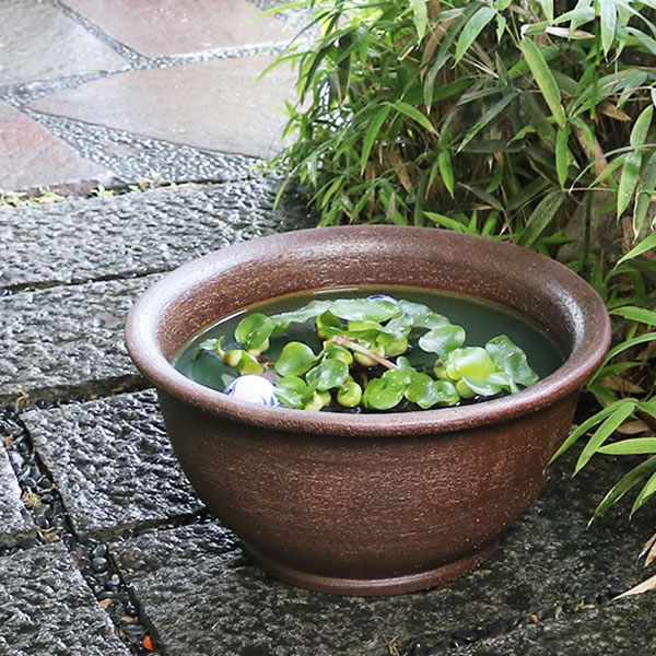 スイレン鉢 陶器鉢 陶器水鉢 信楽焼 水鉢 鉢 金魚鉢 めだか鉢 すいれん鉢 メダカ鉢 ハス鉢 睡蓮鉢 しがらき 睡蓮 和風 16号ケズリ鈴型水鉢 su-0110