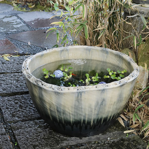 楽天市場】【スーパーSALE 20%OFFクーポン配布中】19号黒肌変形水鉢