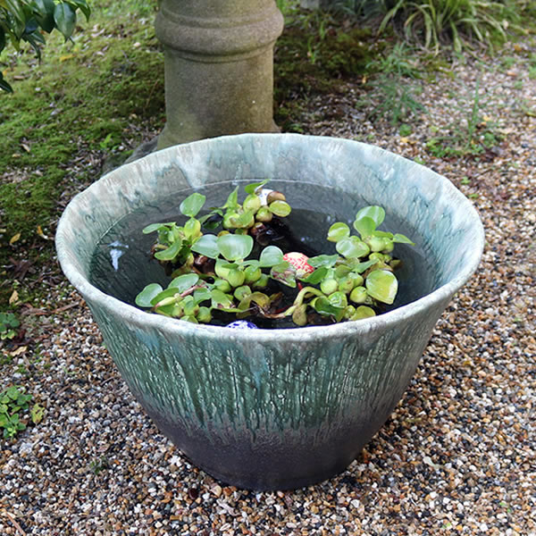 水鉢 メダカ鉢 手水鉢 睡蓮鉢 陶器鉢