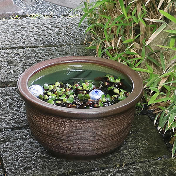 楽天市場】【38時間限定15%OFFクーポン配布中】15号はけ目水鉢