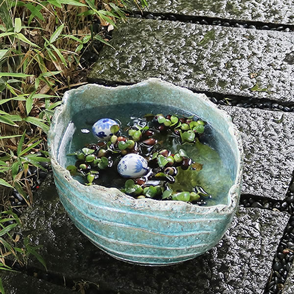 楽天市場】【38時間限定15%OFFクーポン配布中】14号変形手ひねり水鉢