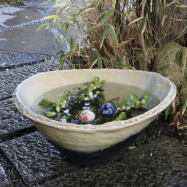 楽天市場】スイレン鉢 大型 陶器水鉢 信楽焼 水鉢 鉢 金魚鉢 めだか鉢