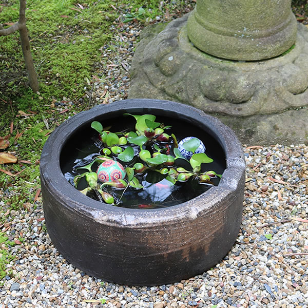 楽天市場】【12月19日20時開始15%OFFクーポン】20号白流し水鉢 信楽焼