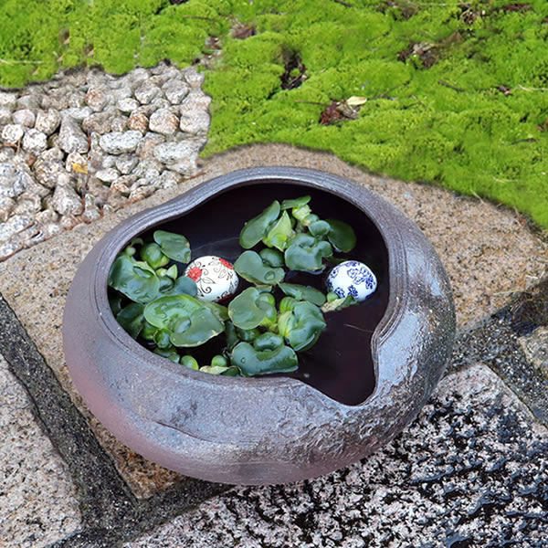 楽天市場】信楽焼 水槽 角型小(白色)陶器水槽 陶器とガラスが