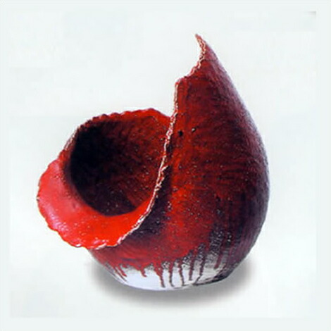 【たぬきち】 5月16日～25日】たぬきときつね プチPOPUP SHOP & ワーク