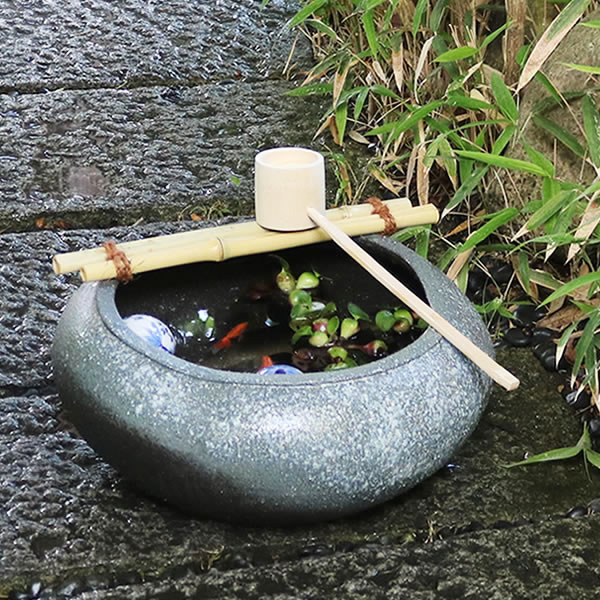 楽天市場】【ブラックフライデー限定15%OFFクーポン配布中】送料無料