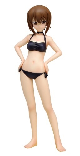 BEACH QUEENS ガールズパンツァー 西住 まほ 1/10規模 PVC製 ペンキ塗り済み 遣っ付ける品 図形