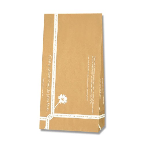 ケース販売HEIKO 紙袋 角底袋 No.6 ルバン 004046600 1ケース(100枚入×10袋 合計1000枚)
