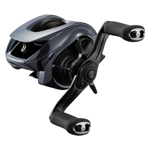 ダイワ(DAIWA) ベイトリール ２５ＩＭ Ｚ ＴＷ １００－Ｃ