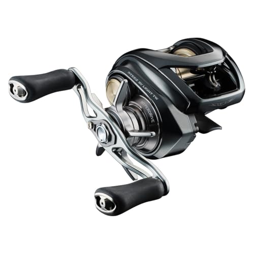 ダイワ(DAIWA) ベイトリール 26スティーズ SV 点火装置 TW100XXH