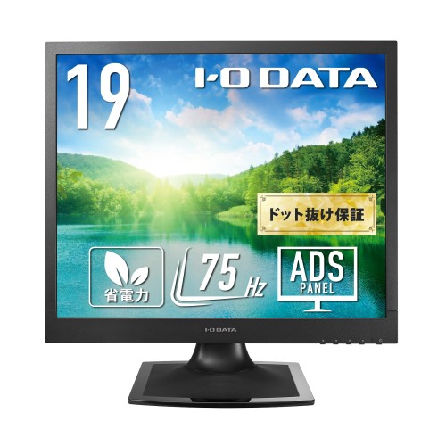IODATA 管する 19in 真四角 SXGA ADSダイアログボックス 黒いこと(アナログRGB/DVI-D/VESA相応う/金棒引き付/週末受け支える/日本製造業者) EX-SAX191DB