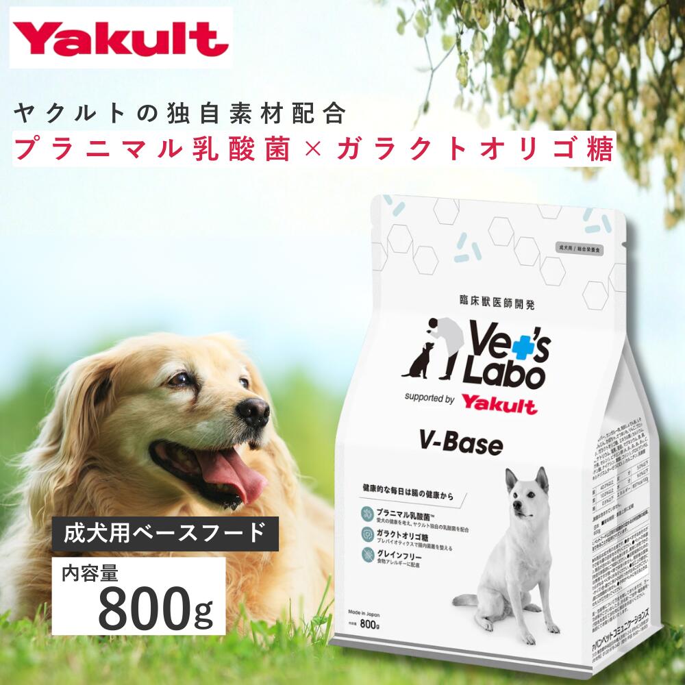 楽天市場】V-Base ブイベース 犬用 120g 【Vet's Labo】supported by